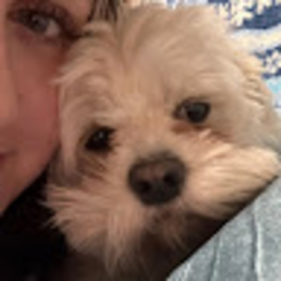 mayaelneser